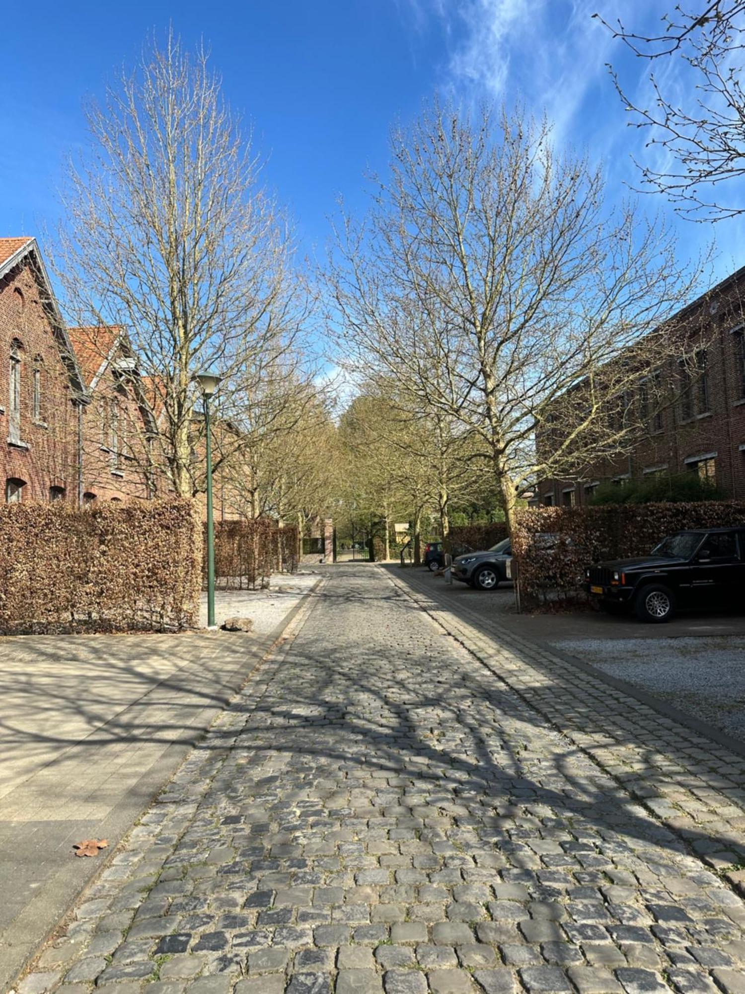Vakantiewoning Waag Rekem Экстерьер фото